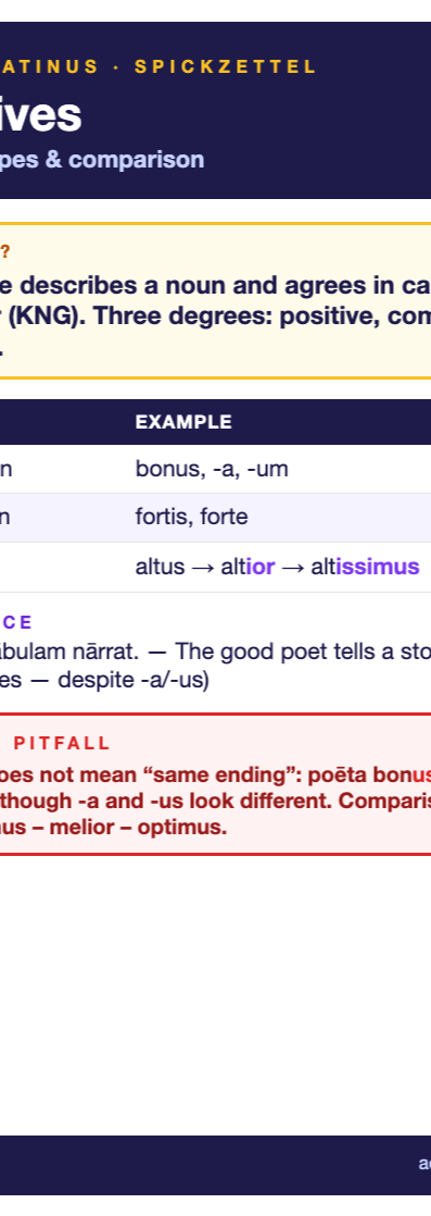 Latin adjectives cheat sheet (A6)