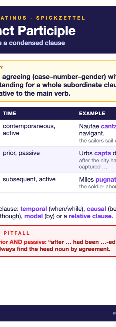 Latin Conjunct Participle cheat sheet (A6)