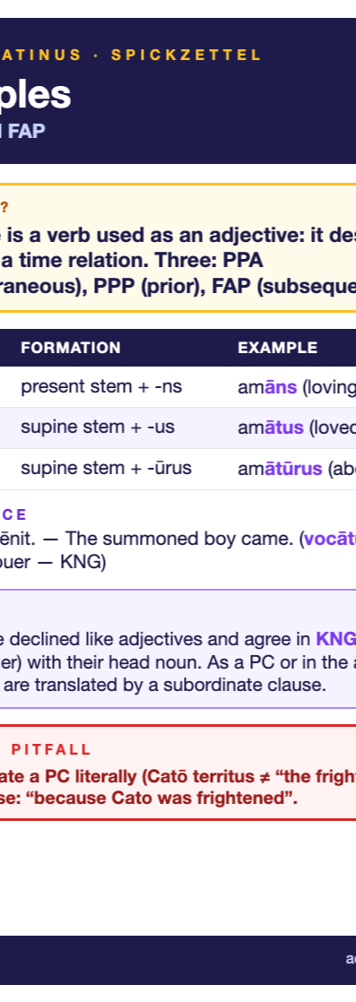 Latin participles cheat sheet (A6)