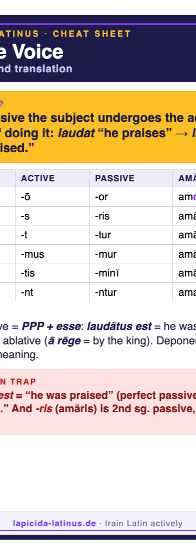 Latin passive voice cheat sheet (A6)
