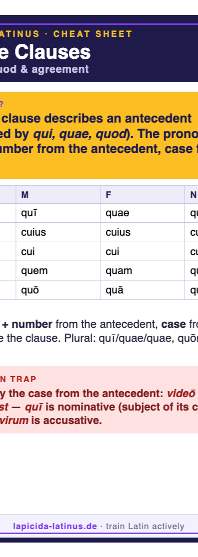 Latin relative clauses cheat sheet (A6)